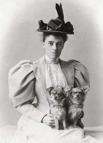 1911 novel by edith wharton 1911 novel by edith wharton