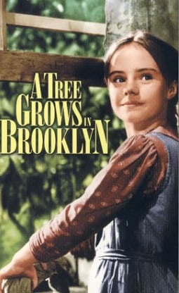 smith betty a tree grows in brooklyn smith betty a tree grows in brooklyn