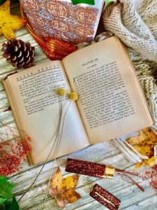Black Beauty Bookstagram