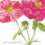 Some Flowers by Vita Sackville-West