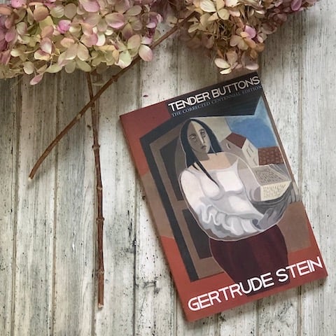 Tender buttons by gertrude stein