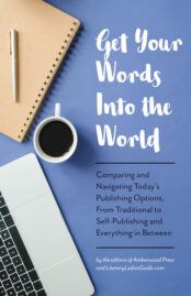 Get your words into the world cover