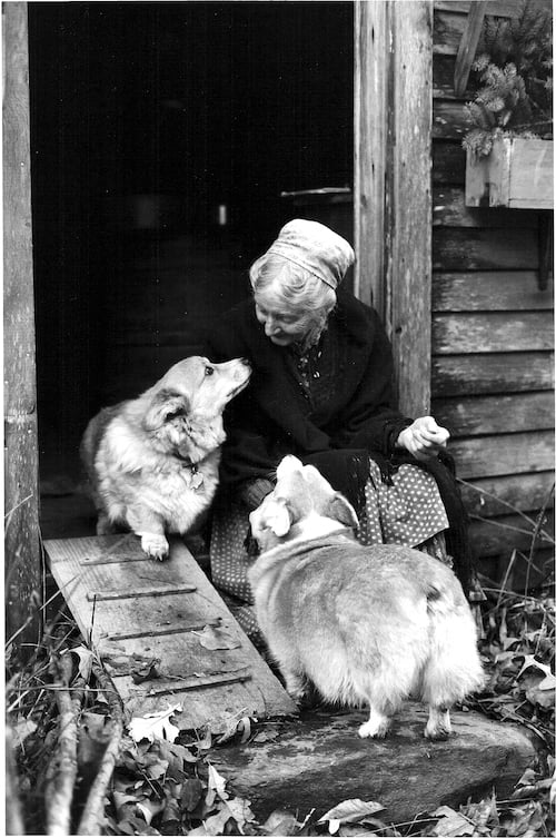 Tasha Tudor and Family - Jefferson Corgi Puppy