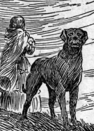 Illustration of Emily and her dog Keeper