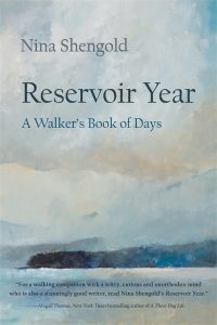 Reservoir Year by Nina Shengold