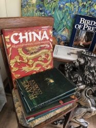 LionEyes art bookstore, Hobart book village, NY