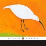 Rachel Carson's Under the Sea Wind