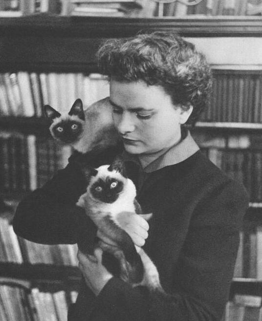 Elsa morante and her cats